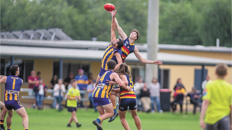 Weekly Wrap 1 May, 2025 - Kangas cruise as River Raiders cop brutal reality check. Murrabit off to a flyer as Swans stumble. post image