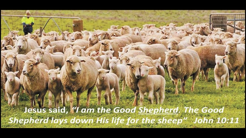 The Lost is Found! post image