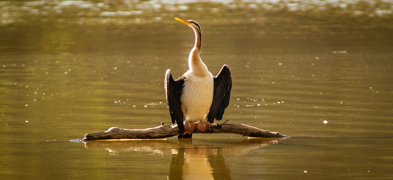 Monday, July 13 post image