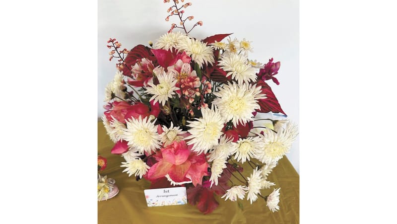 Garden Society - July 29, 2025 post image