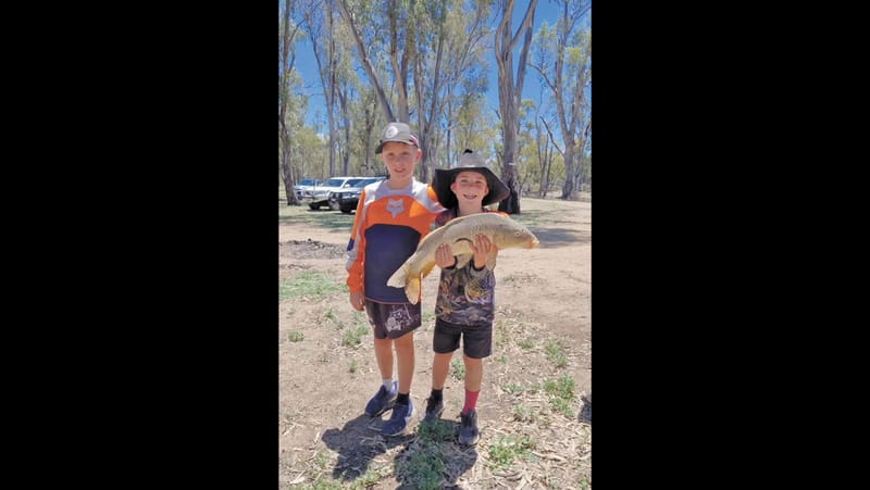 Wakool News - December 12, 2024 post image