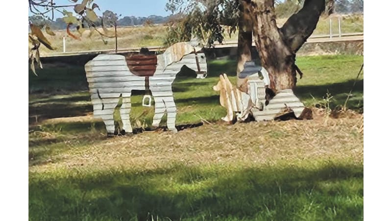 Wakool News - July 24, 2025 post image