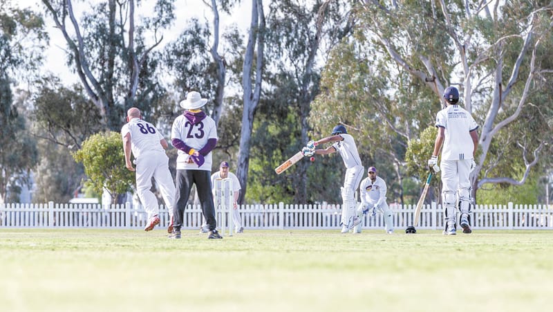 Cricket fires up post image