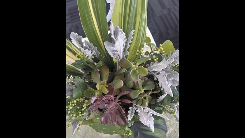 Garden Society - February 27, 2025 post image