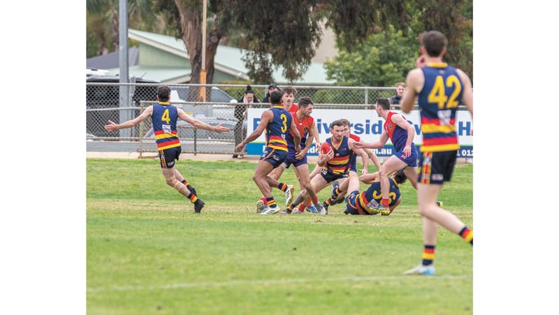 CMFL Weekly Wrap - 4 September, 2025 post image