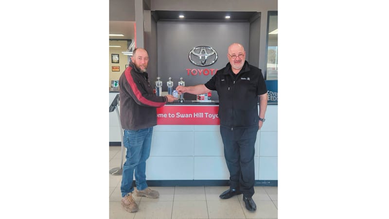 Balls, Fours and Paws post image