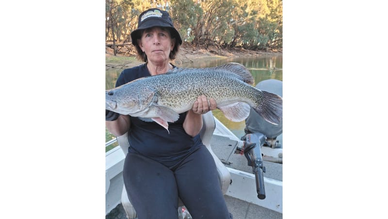 Fishing Report -15 May, 2025 post image