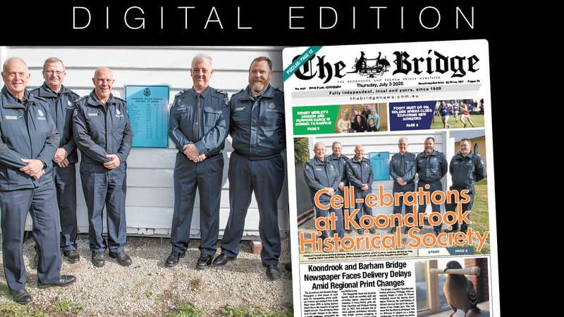 Thursday, July 3, 2025 post image