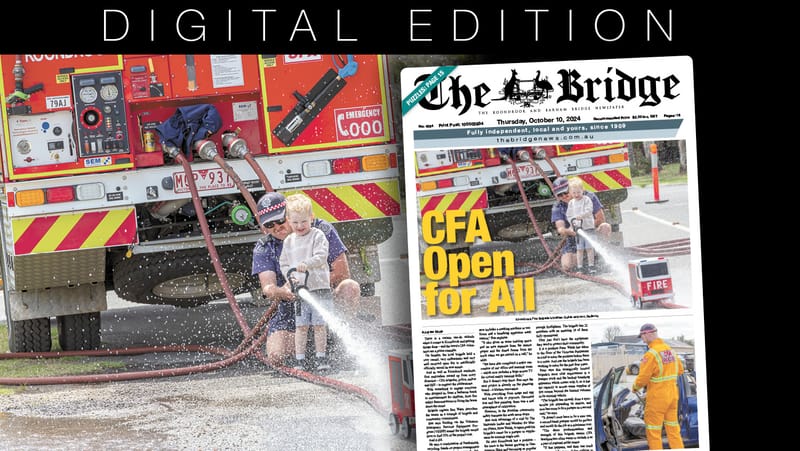 Thursday, October 10, 2024 post image