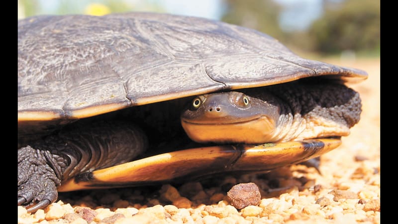 A Fortress for the Storms of Life... post image