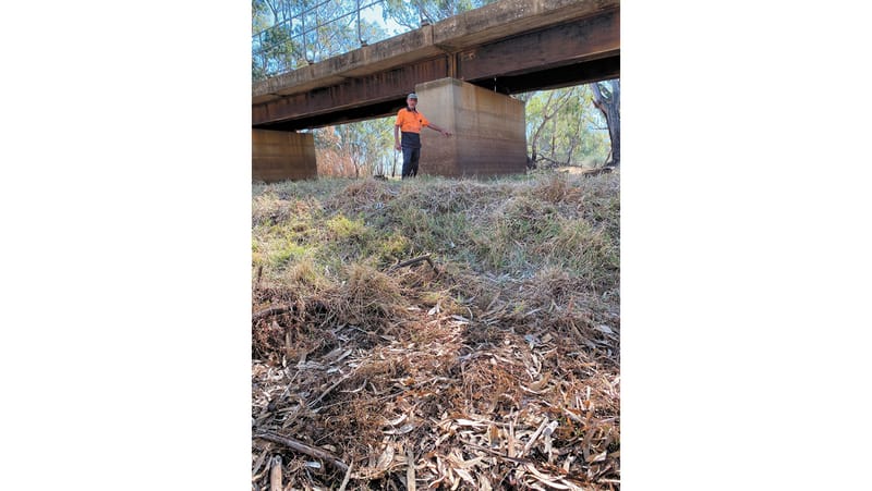 Managing Levees for Flood Protection post image