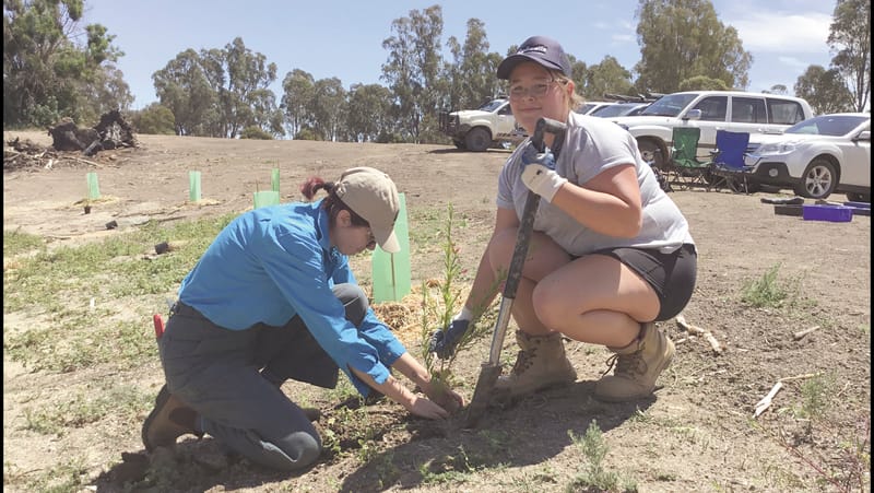 School Kids Provide Revegetation post image
