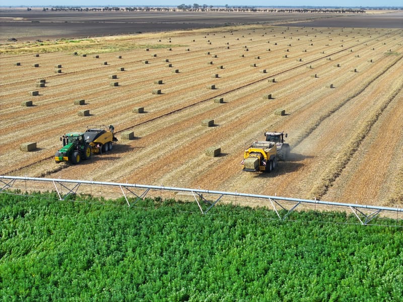 Murray Industrial Hemp seed funding success post image