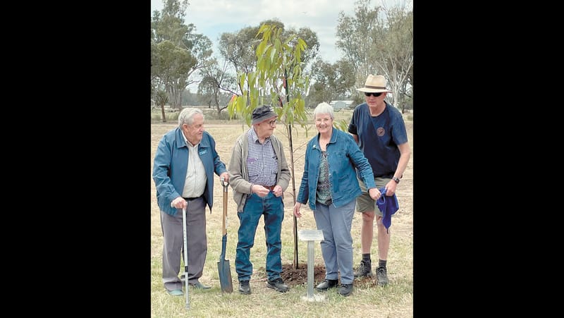 Centenary at Murrabit post image