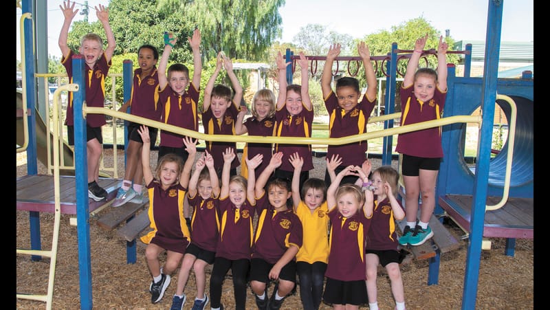 First Time Students post image