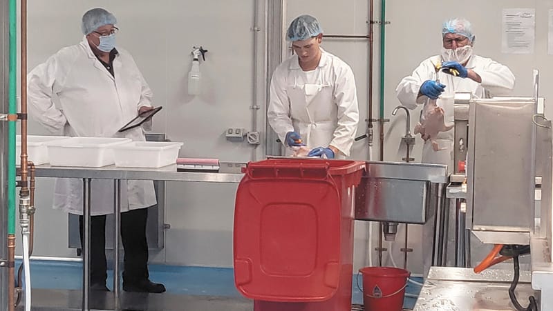 Micro Abattoir Rubber Stamped post image