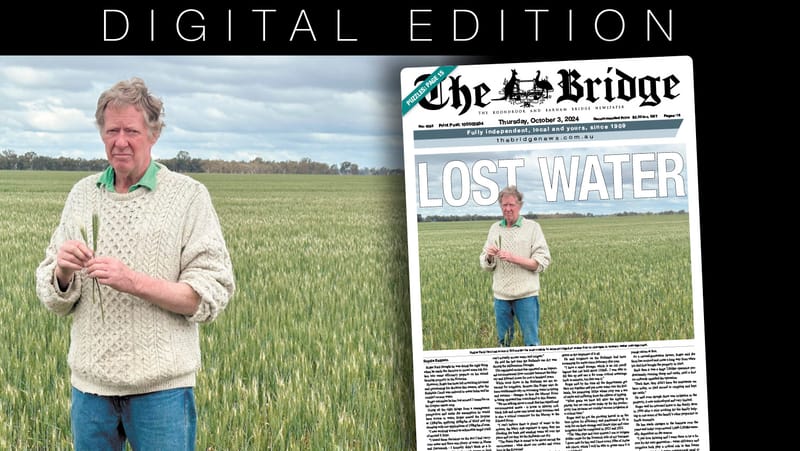 Thursday, October 3, 2024 post image