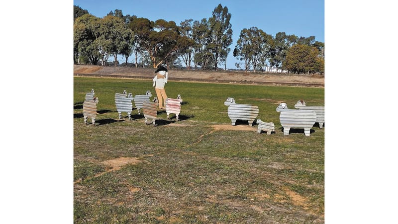 Wakool News - June 19, 2025 post image