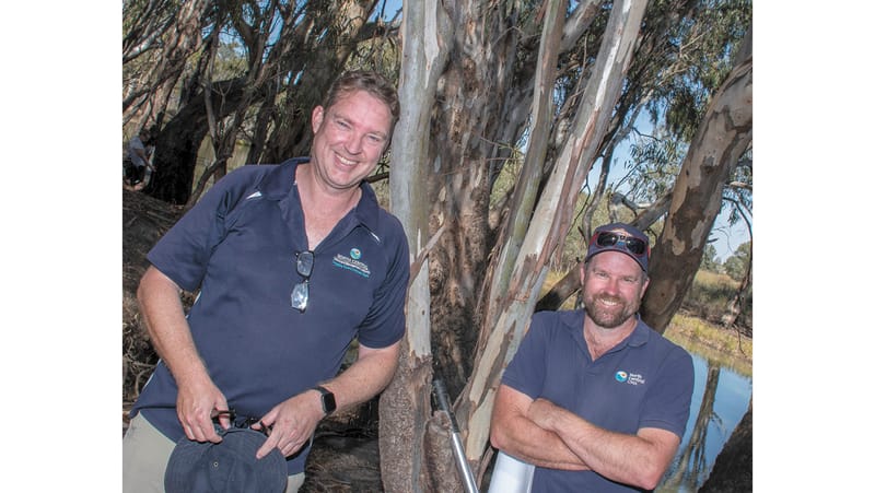 Kerang Carp Catch post image