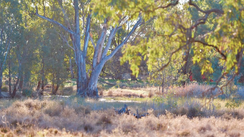Locally Led post image