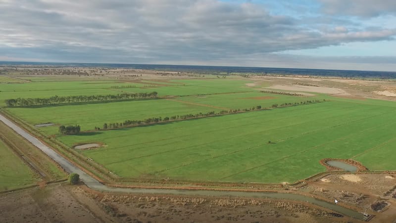 Council opposes Basin water buybacks post image