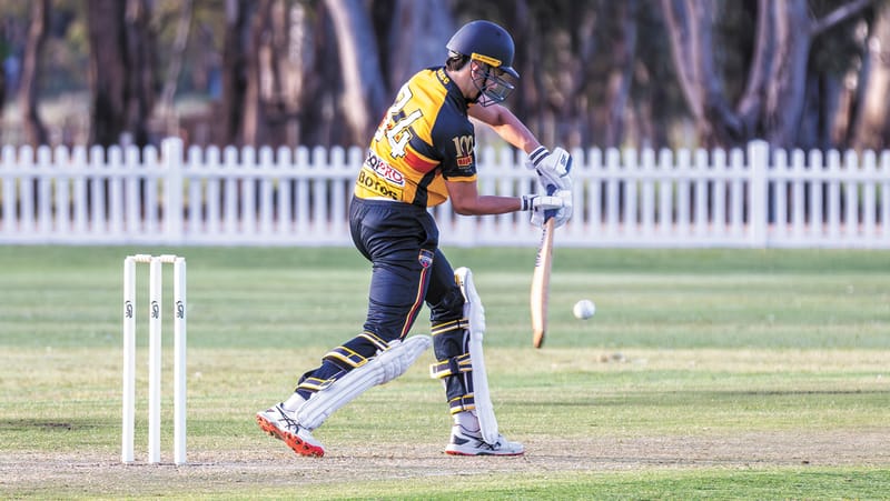 Local Cricket Returns post image