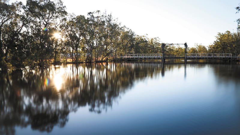 Discover Opportunities at the Mid Murray All Industries Expo post image