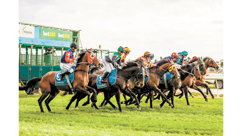 Gunbower Cup post image