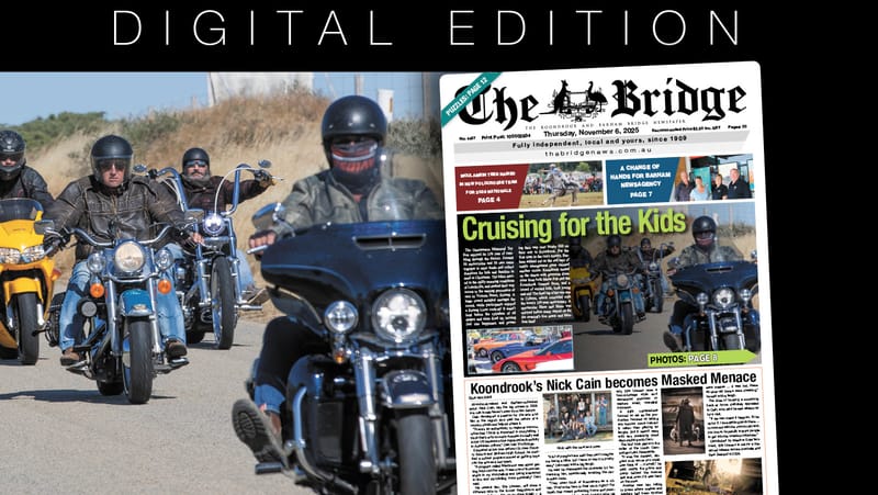 Thursday, November 6, 2025 post image