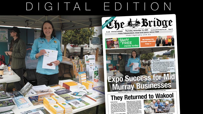 Thursday, November 13, 2025 post image