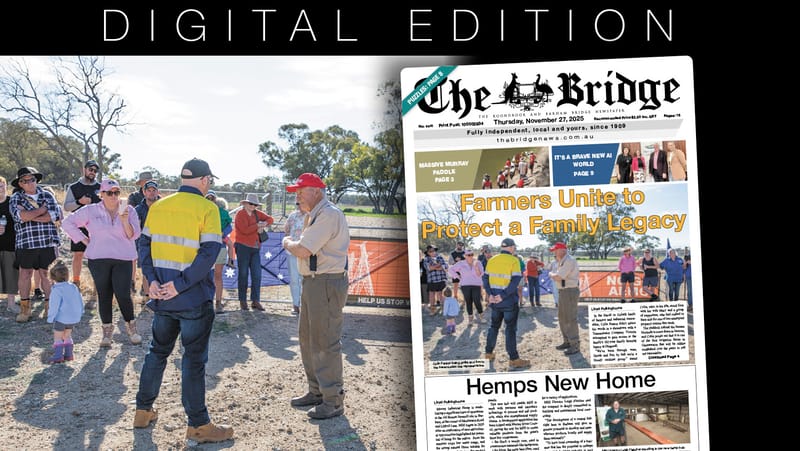 Thursday, November 27, 2025 post image