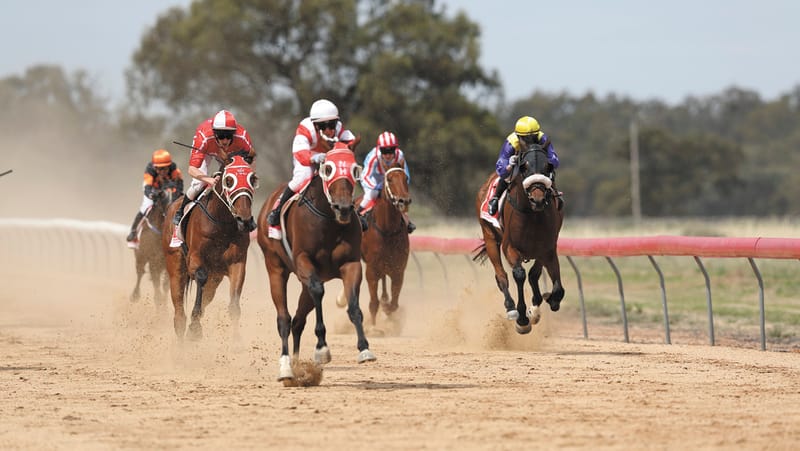 144th Moulamein Cup Race Meeting post image