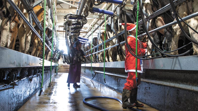 Merry Christmas! post image