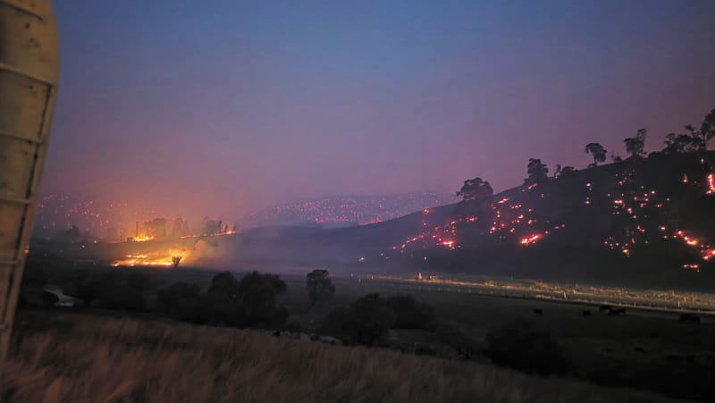 Local Hay Helping Heal Fire Wounds post image