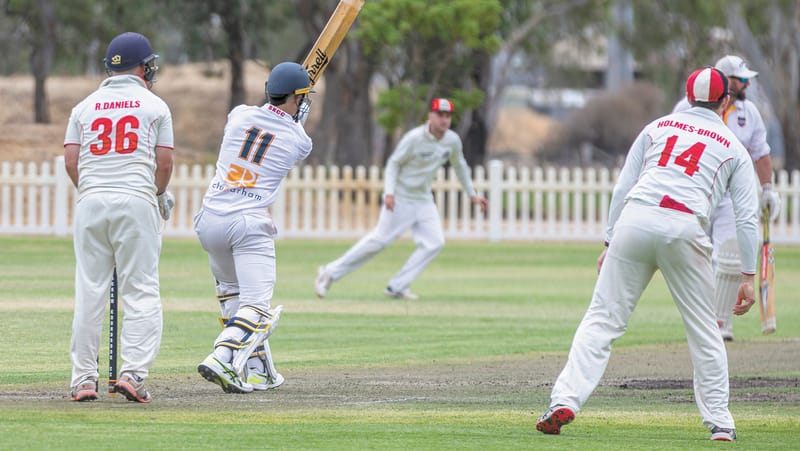 Cricket Wrap post image