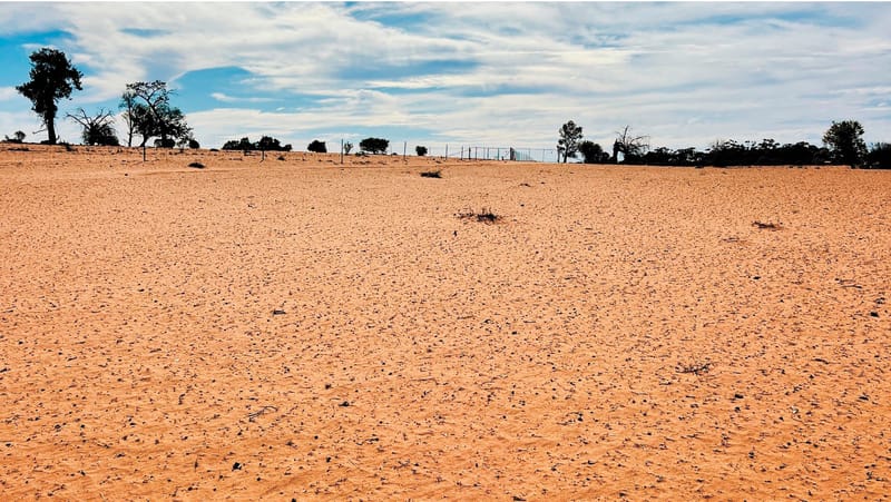 NSW Government Drought Response Welcome but Underwhelming post image
